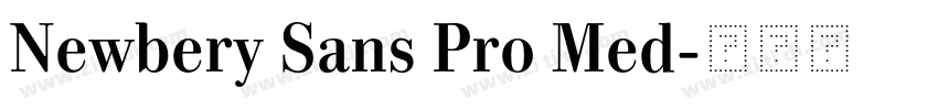 Newbery Sans Pro Med字体转换 Newbery Sans Pro Med字体转换